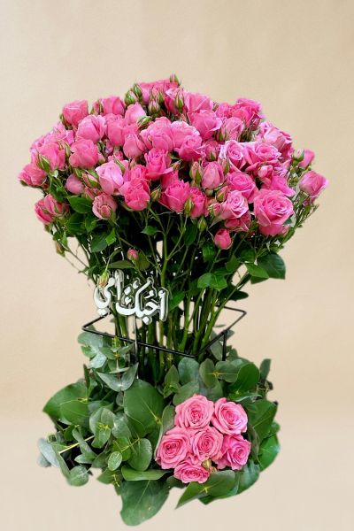 IMG 20241109 WA0129